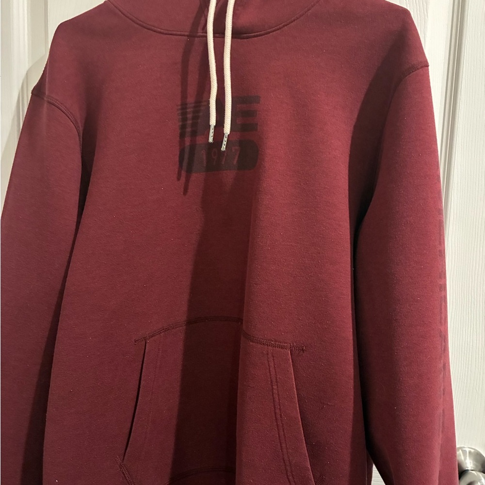 American Eagle Outfitters Maroon Hoodie